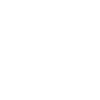 instaIcon